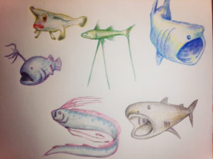 ハンドメイドイベント販売用に描いたイラスト 艸 深海生物イラスト おととごと